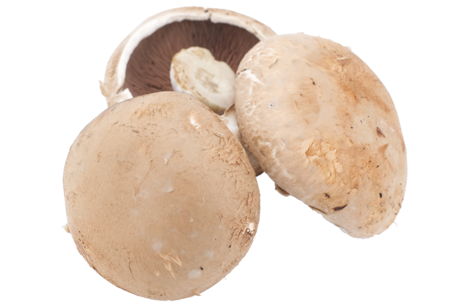 Portobello "Riesenchampignon braun" 2kg