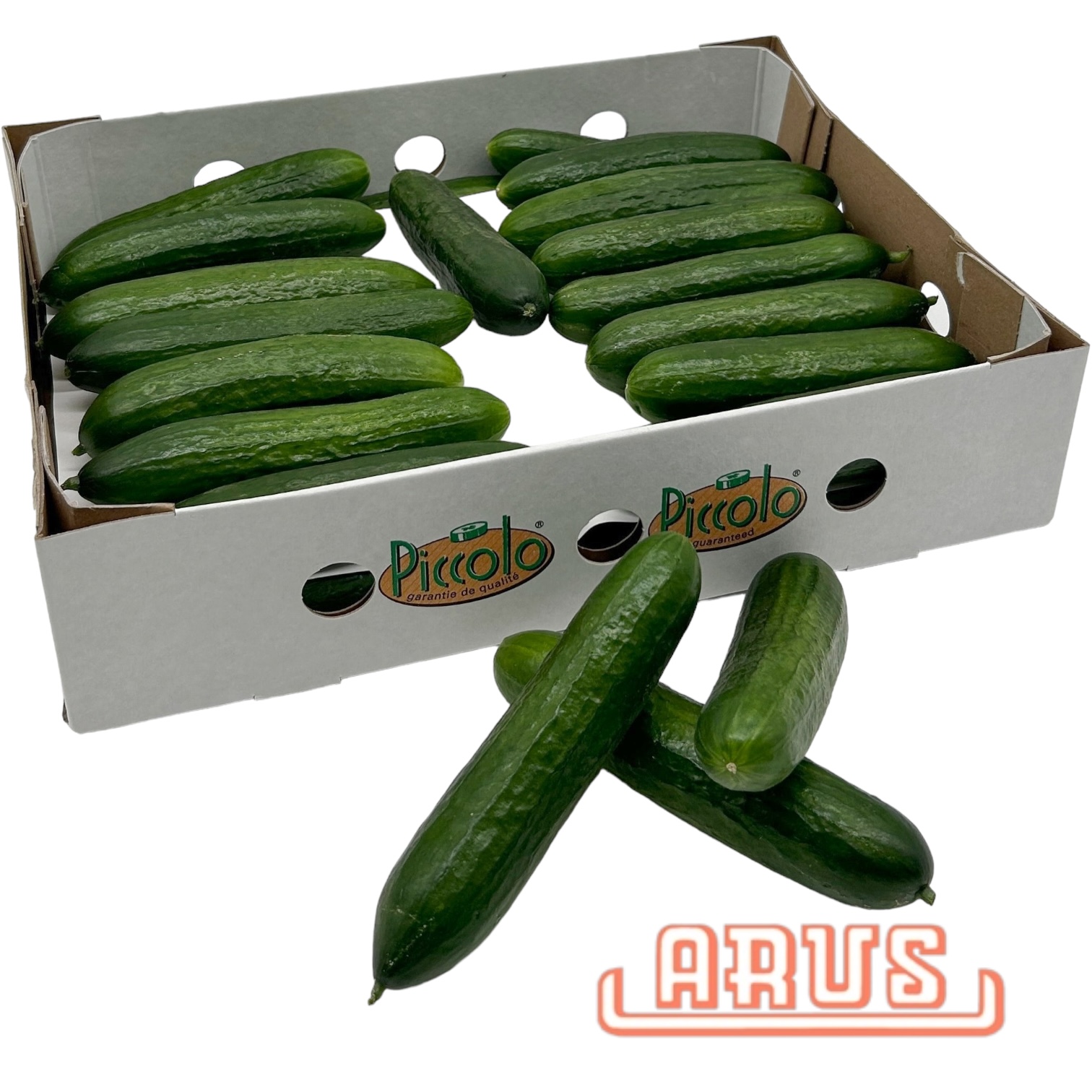 Gurken Mini 32er - Karton/niederl. -