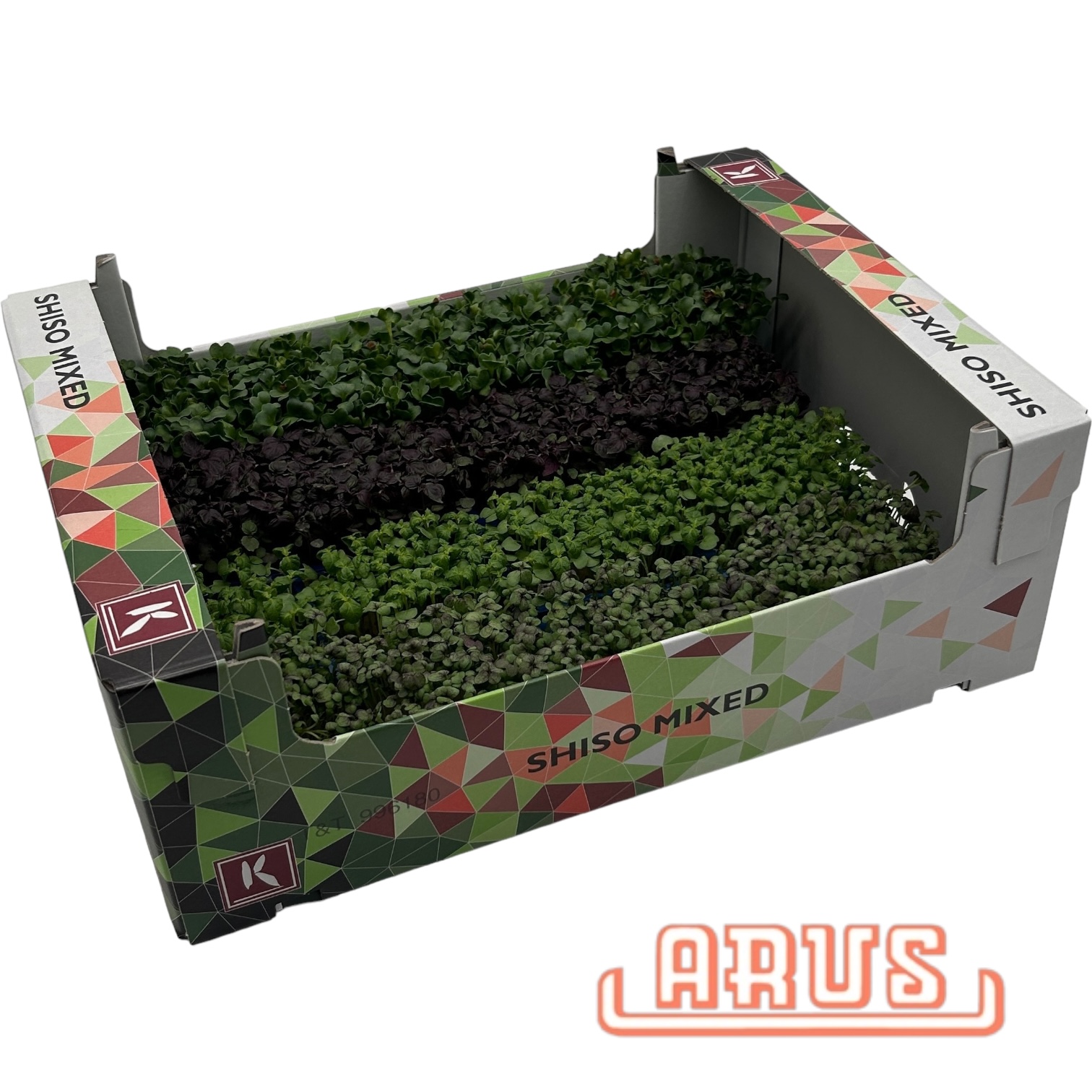 Shiso Mix 16er