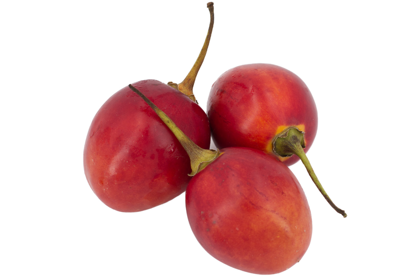 Tamarillos 12er