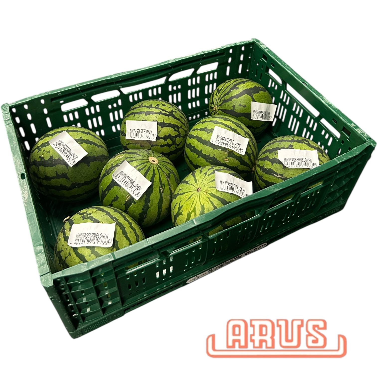 Wassermelonen kernarm "Mini" 8er