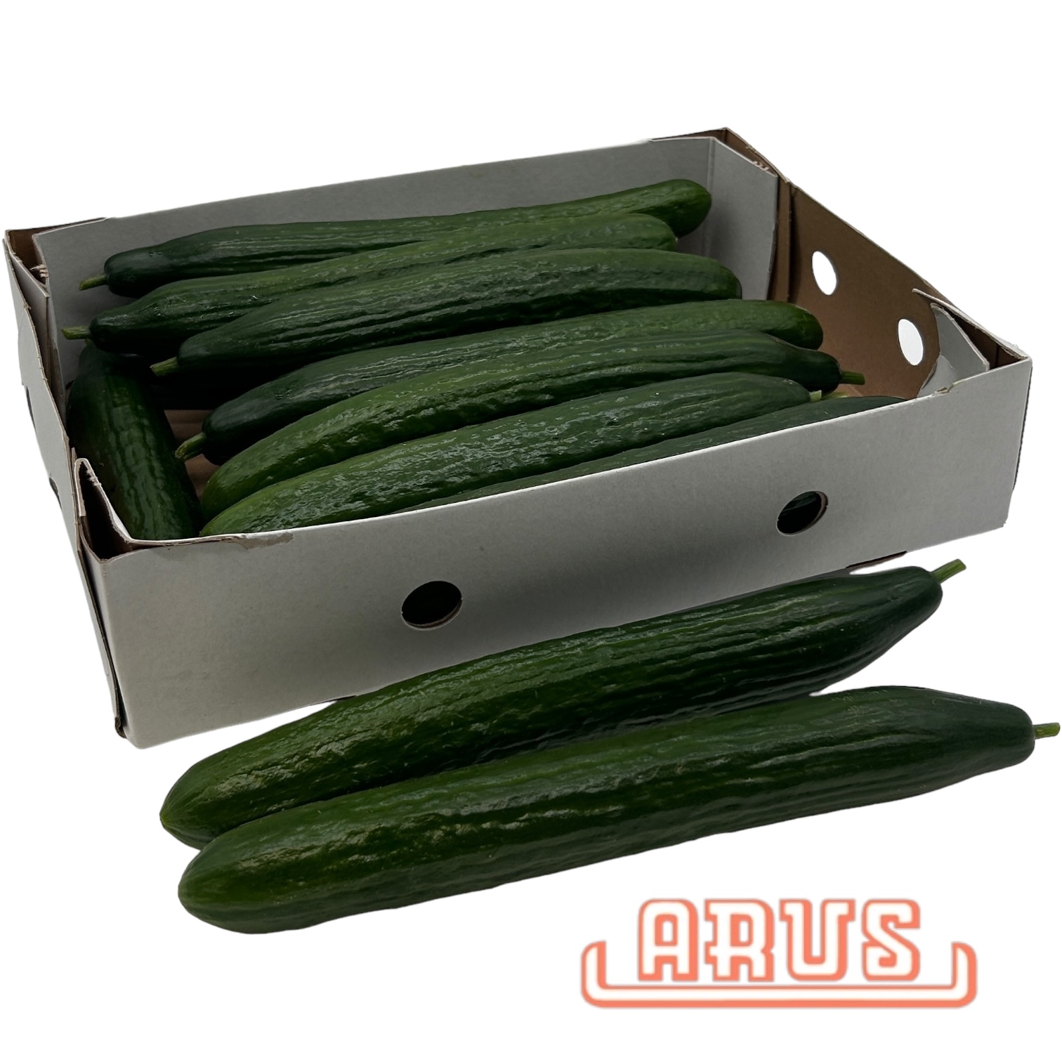 Gurken 30/35 14er - niederl. -