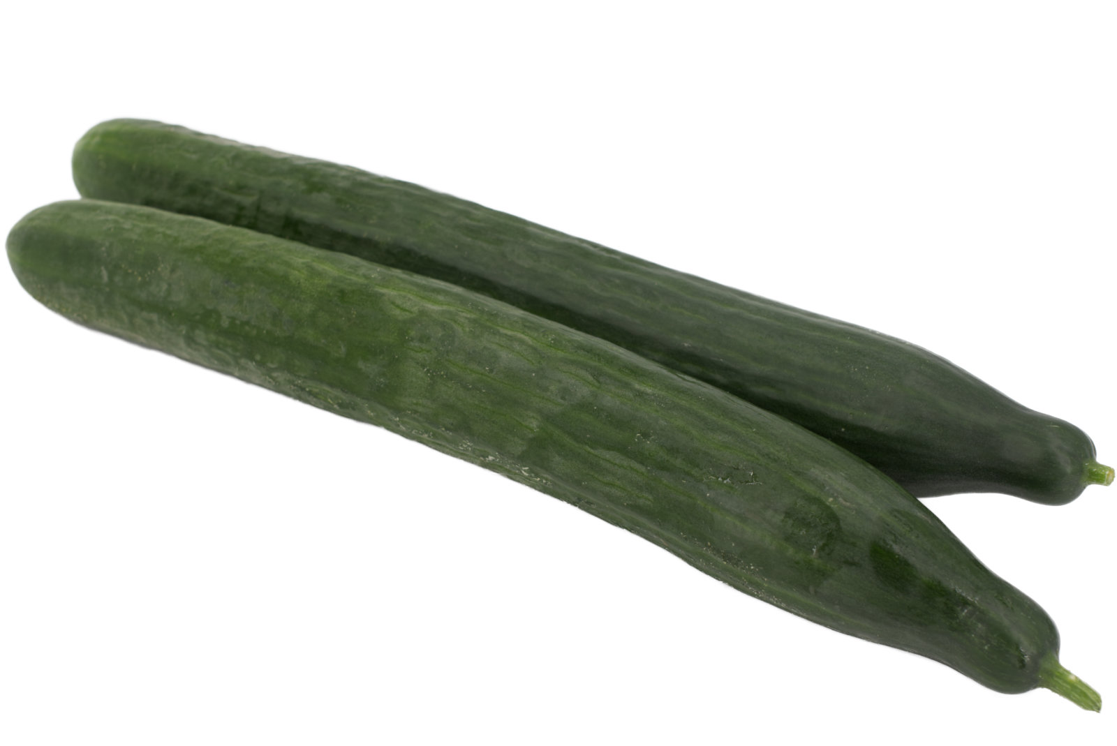 Gurken 40/50 12er - niederl. -