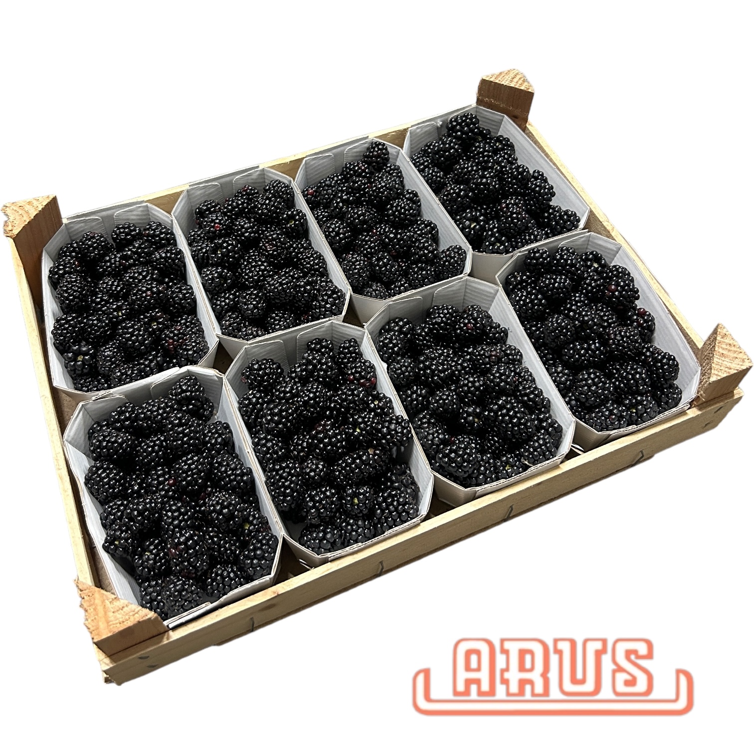 Brombeeren 8x200g -niederl.-