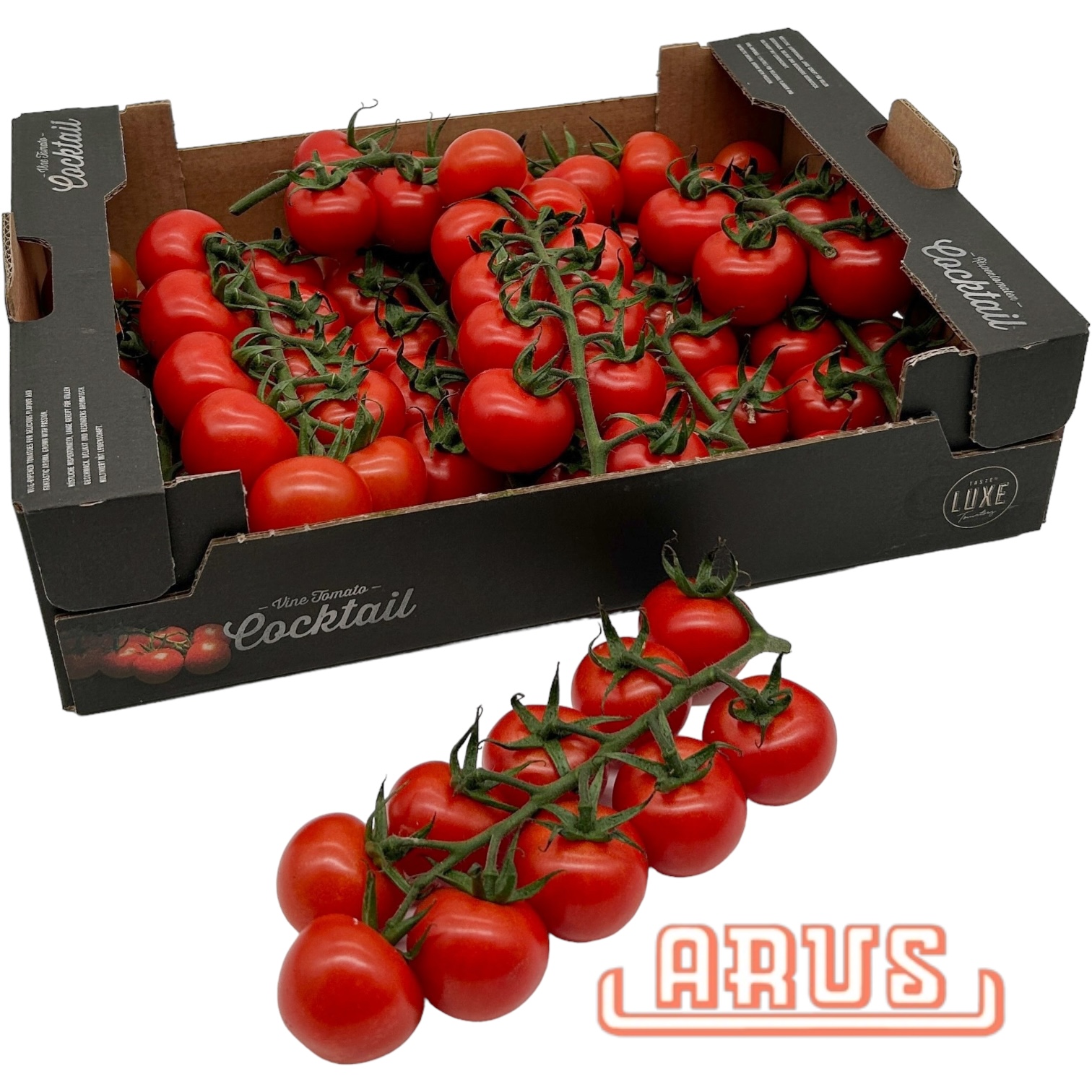 Cherrystraucht. "Rote Perle, Taste de Luxe" 3kg - niederl. -
