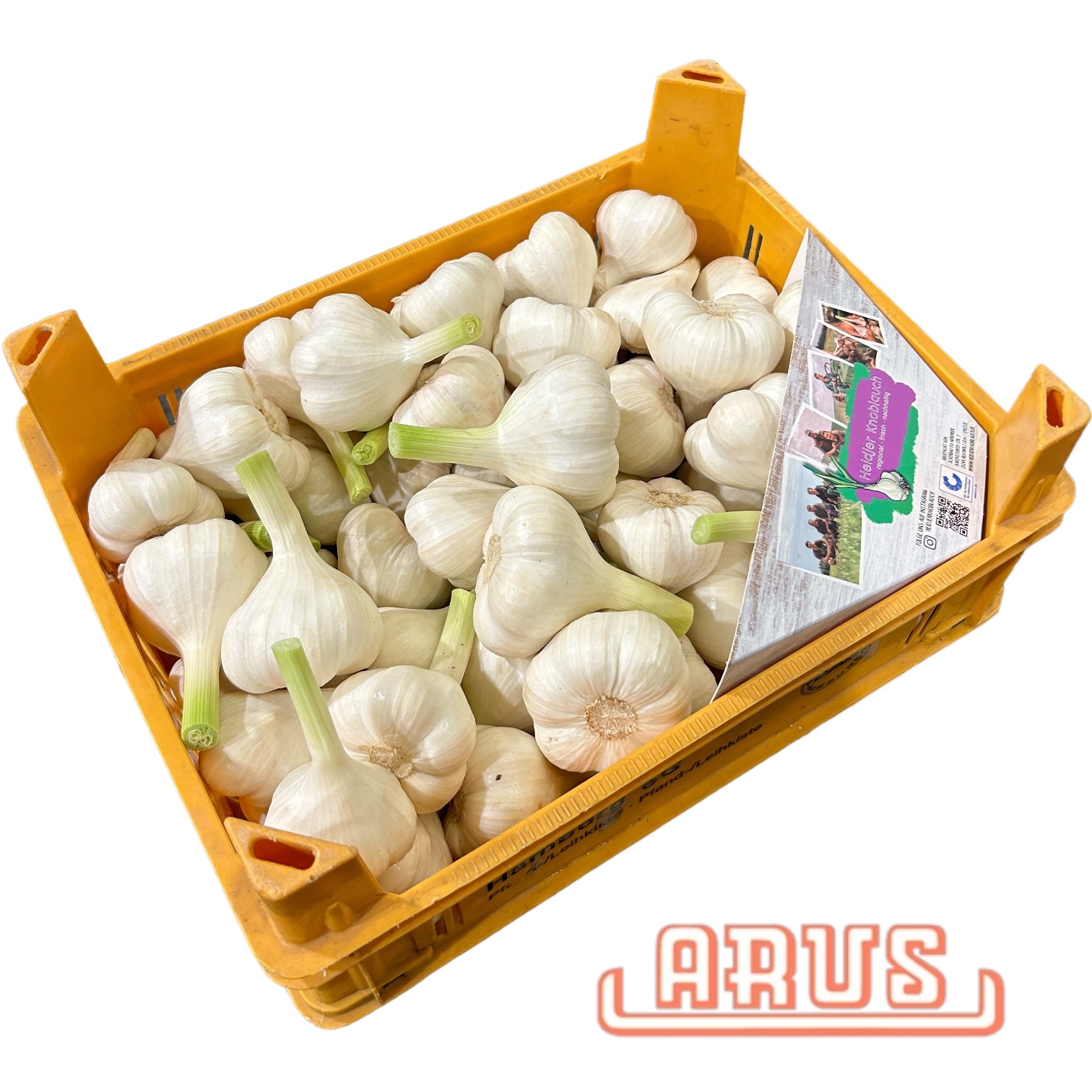 Knoblauch 5kg  "frisch, regional aus der L. Heide" - dtsch./EZG -
