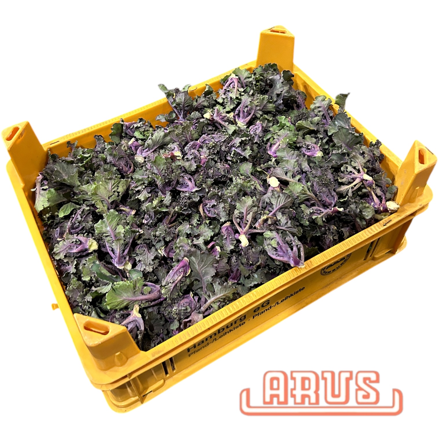 Kohlröschen "Flower Sprouts" 2kg