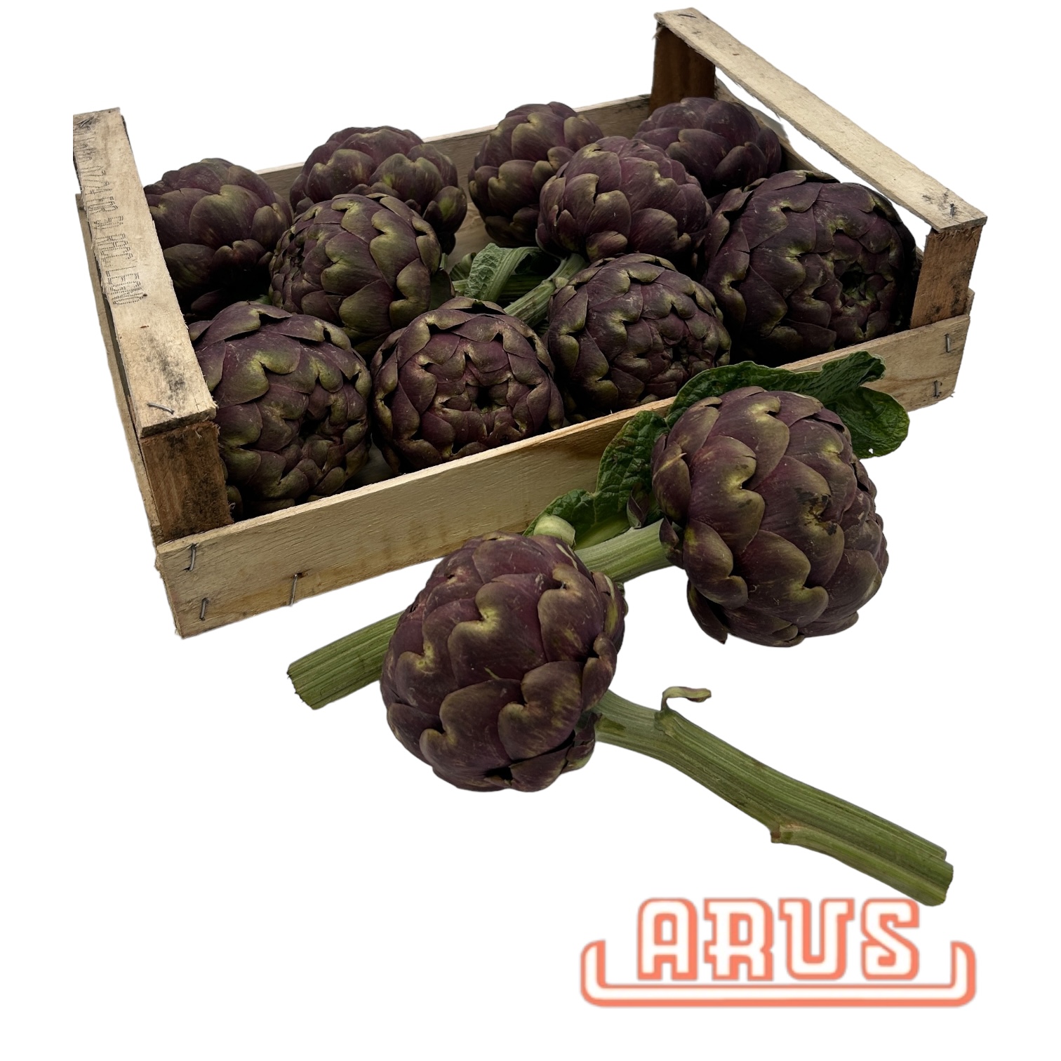 Artischocken 18er