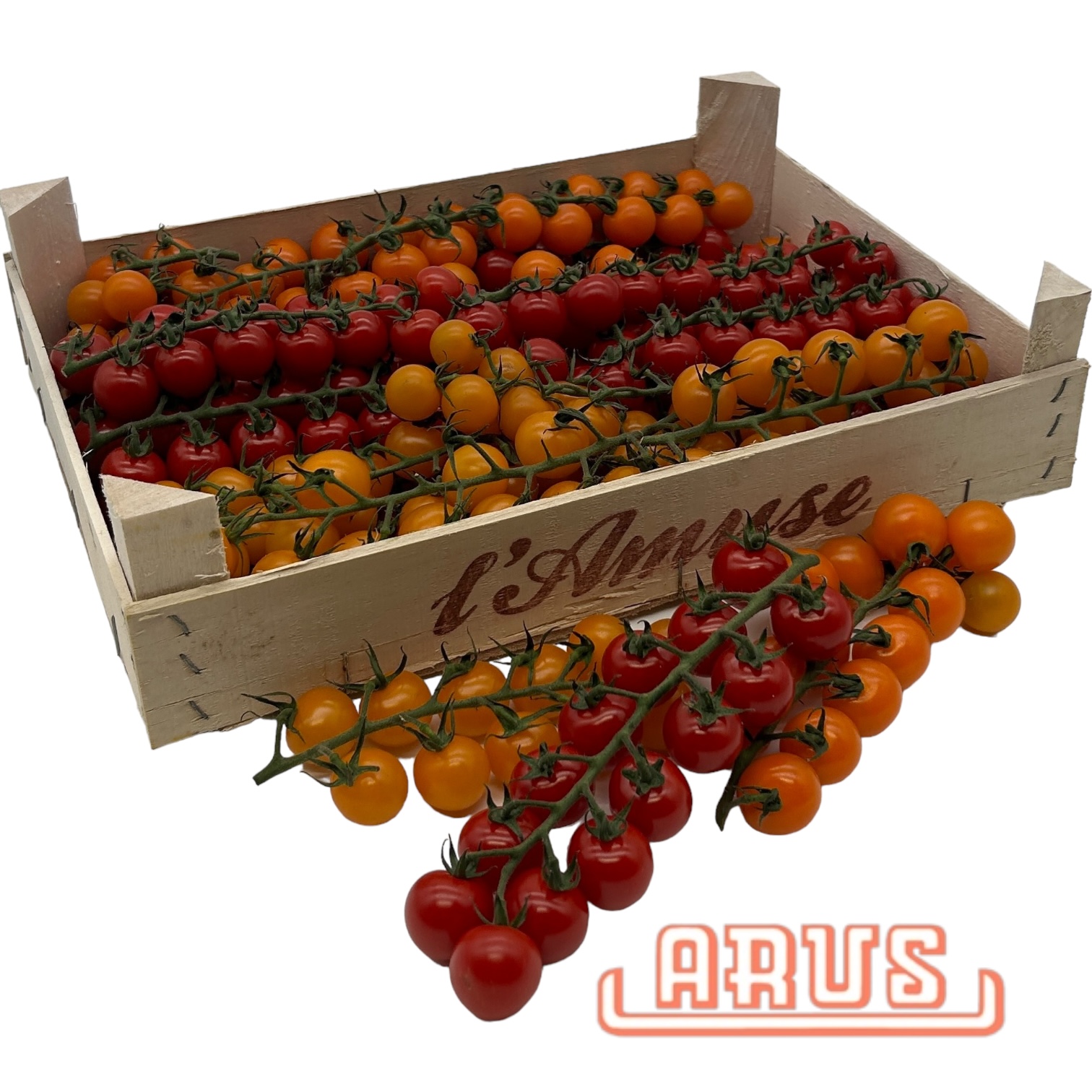 Cherrystrauchtomaten "mix, tricolor" 4kg