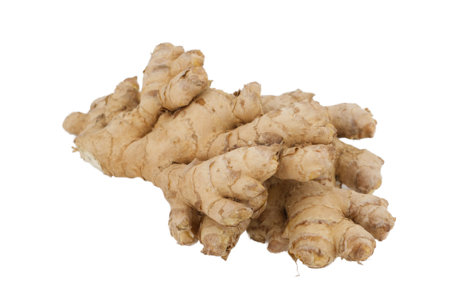 BIO Ingwer 13kg