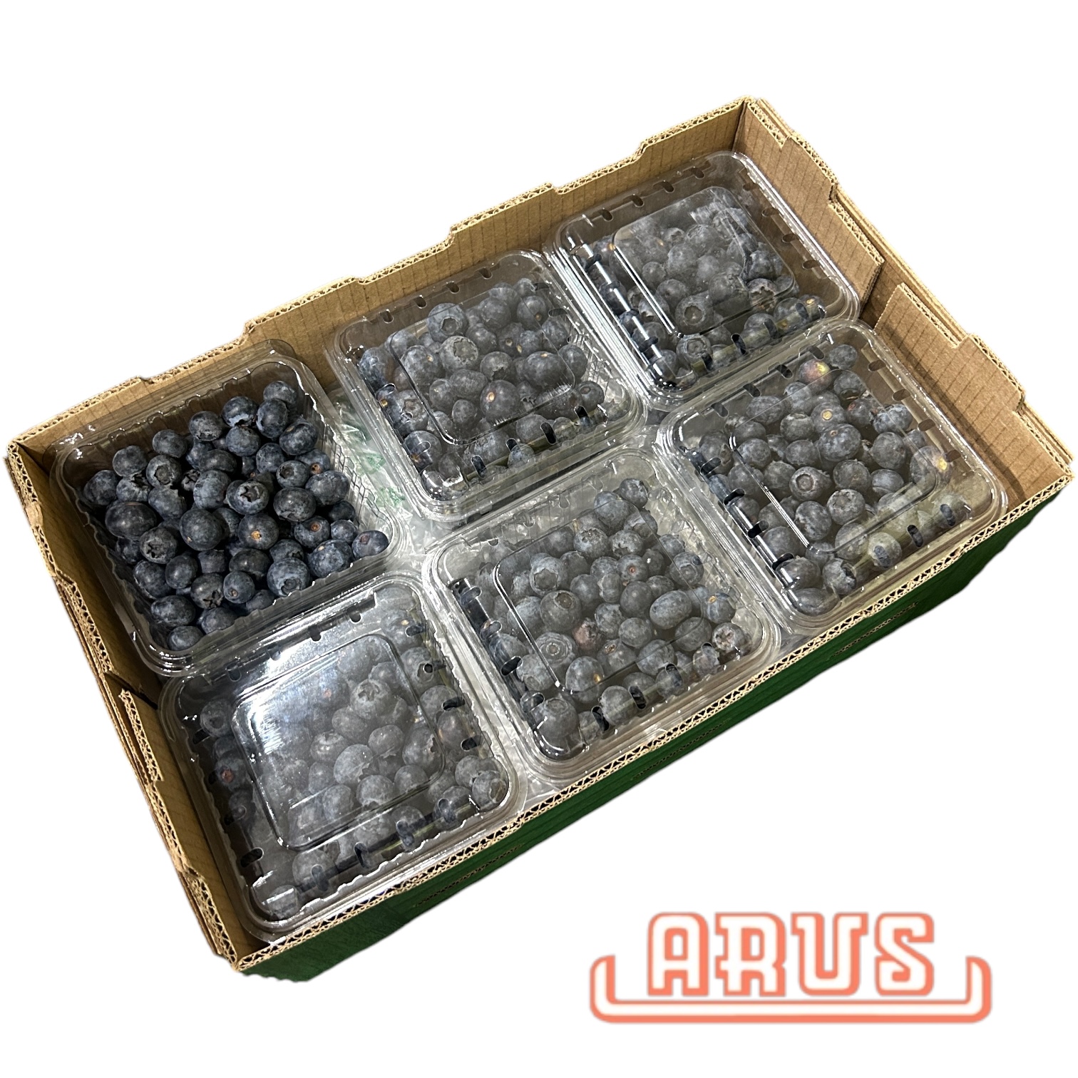 Gartenblaubeeren 12 x 250g -peru-