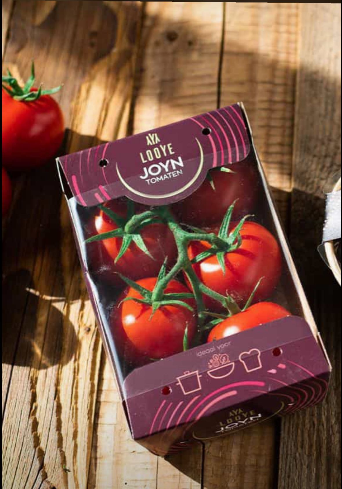 Strauchtomaten "Joyn, gepackt" 10x375g - Premium -
