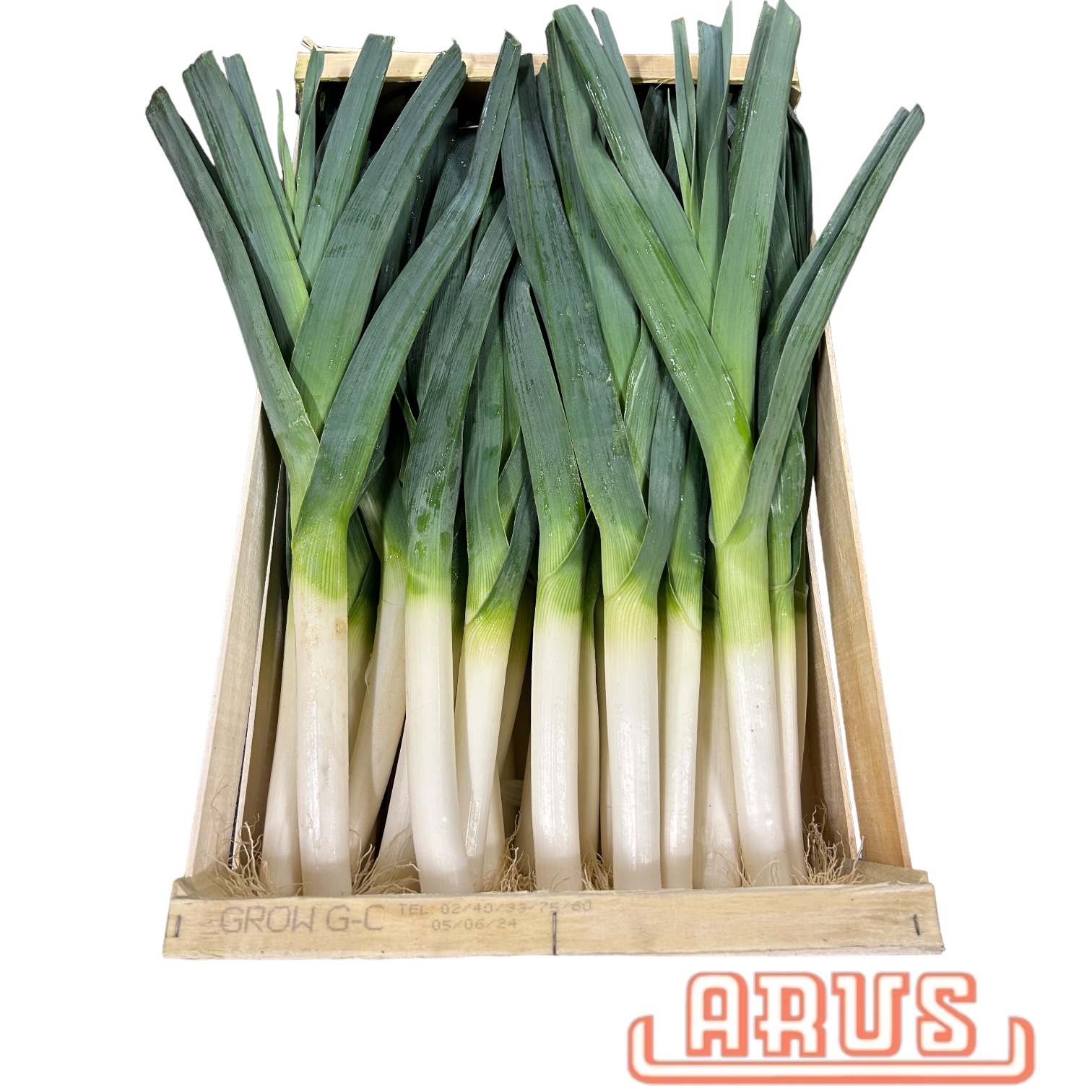 Porree 5kg - franz.-