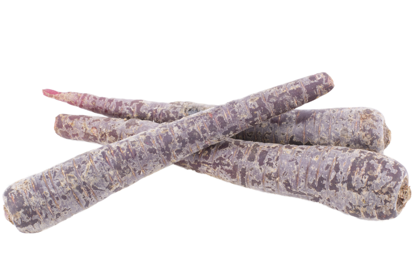 Möhren "lila/violett" 5kg