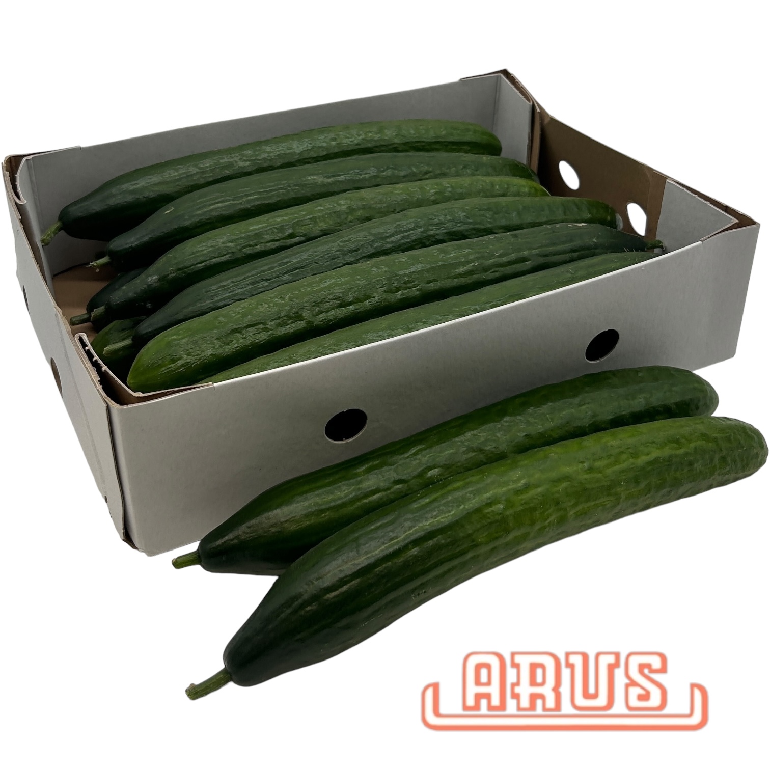 Gurken 50/60 12er - niederl. -