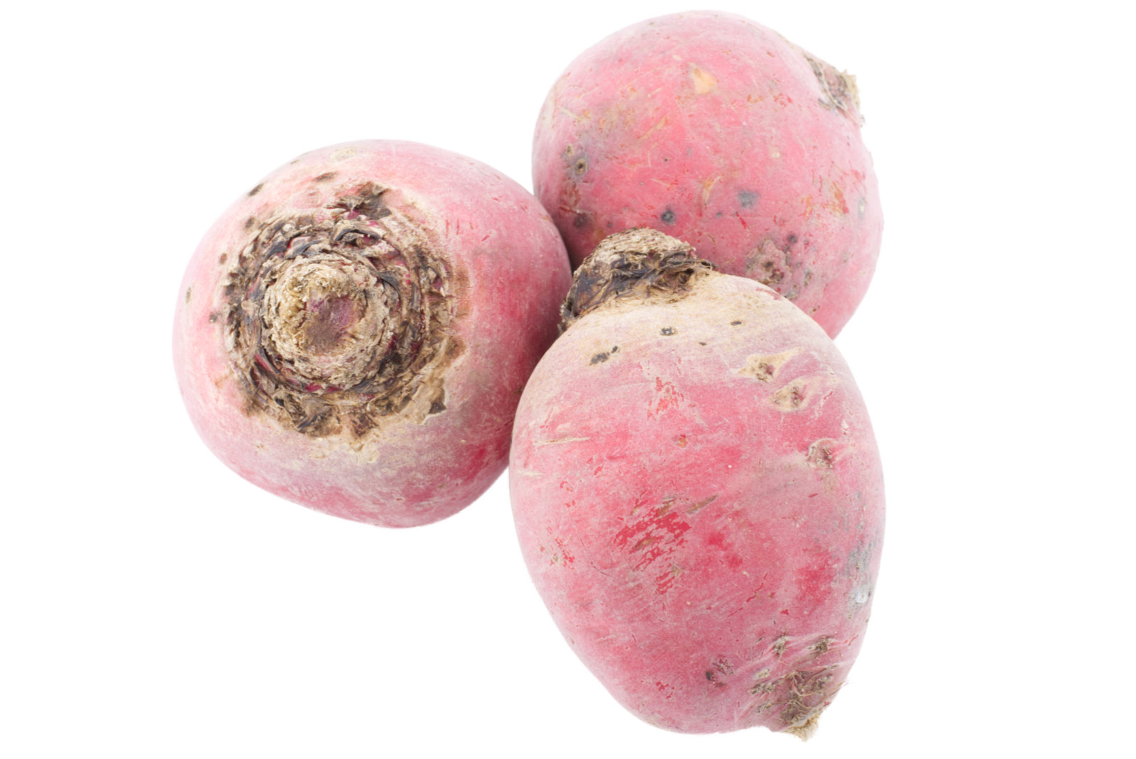 Ringel - Rote Beete 5kg