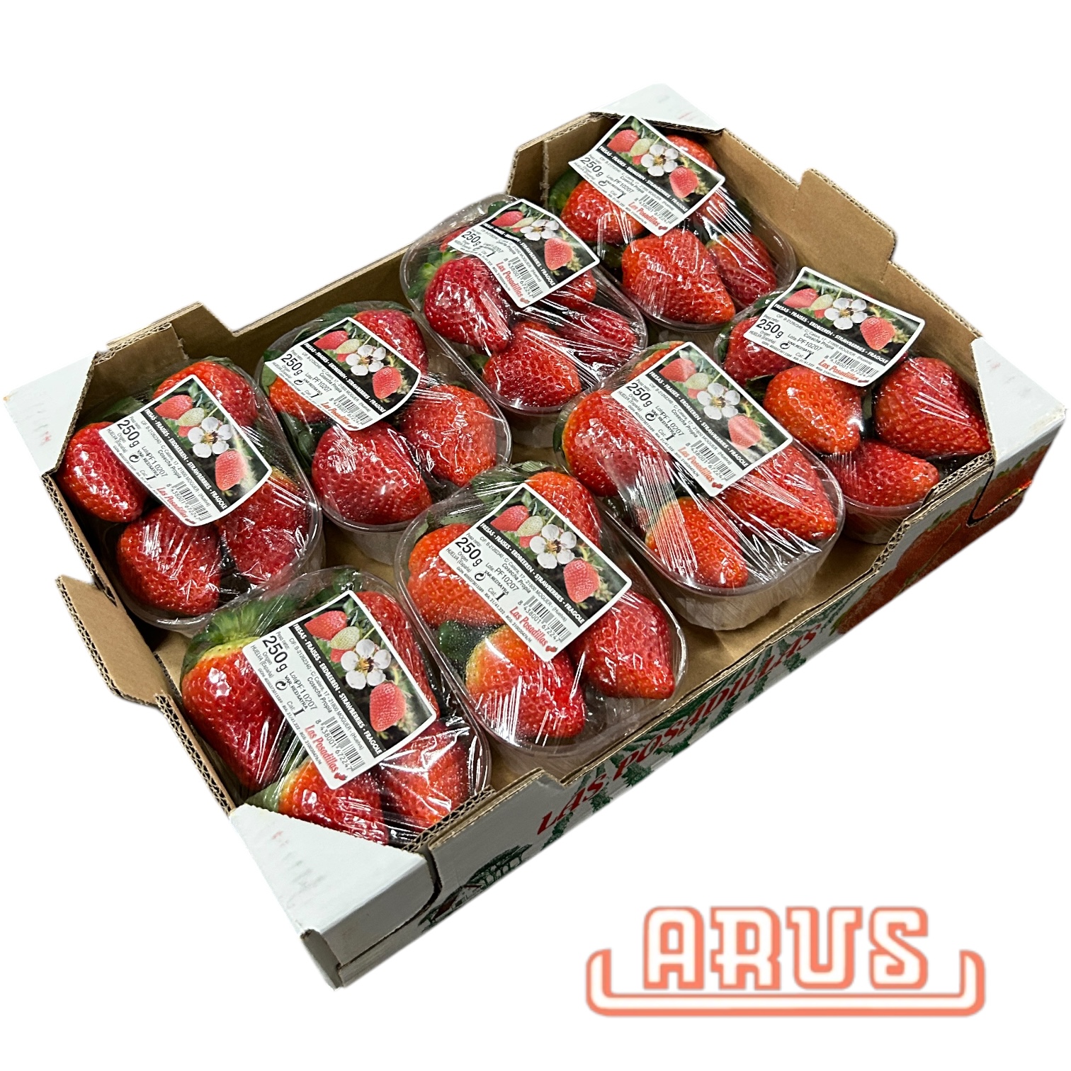 Erdbeeren 8x250g  Posadillas - span. -