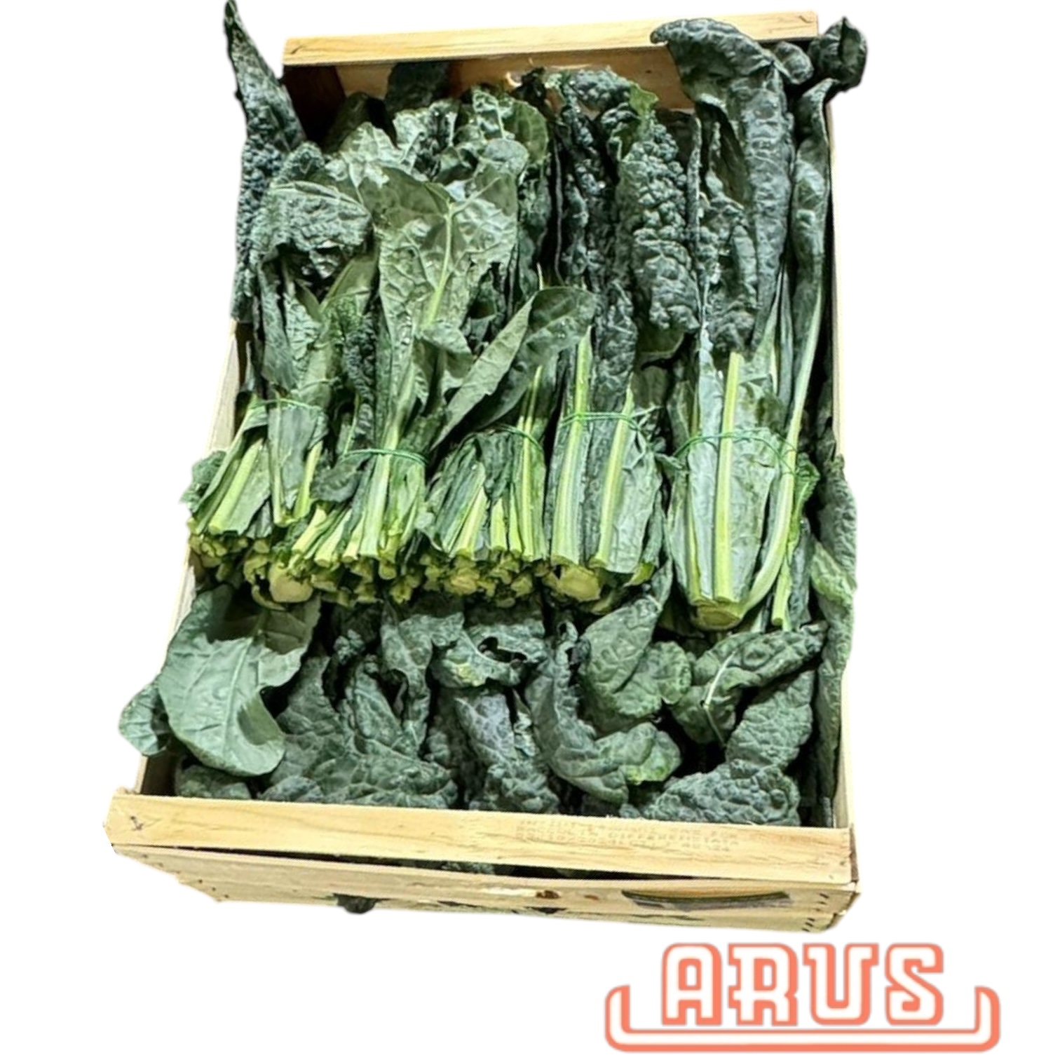 Palmkohl "Schwarzkohl" 5kg