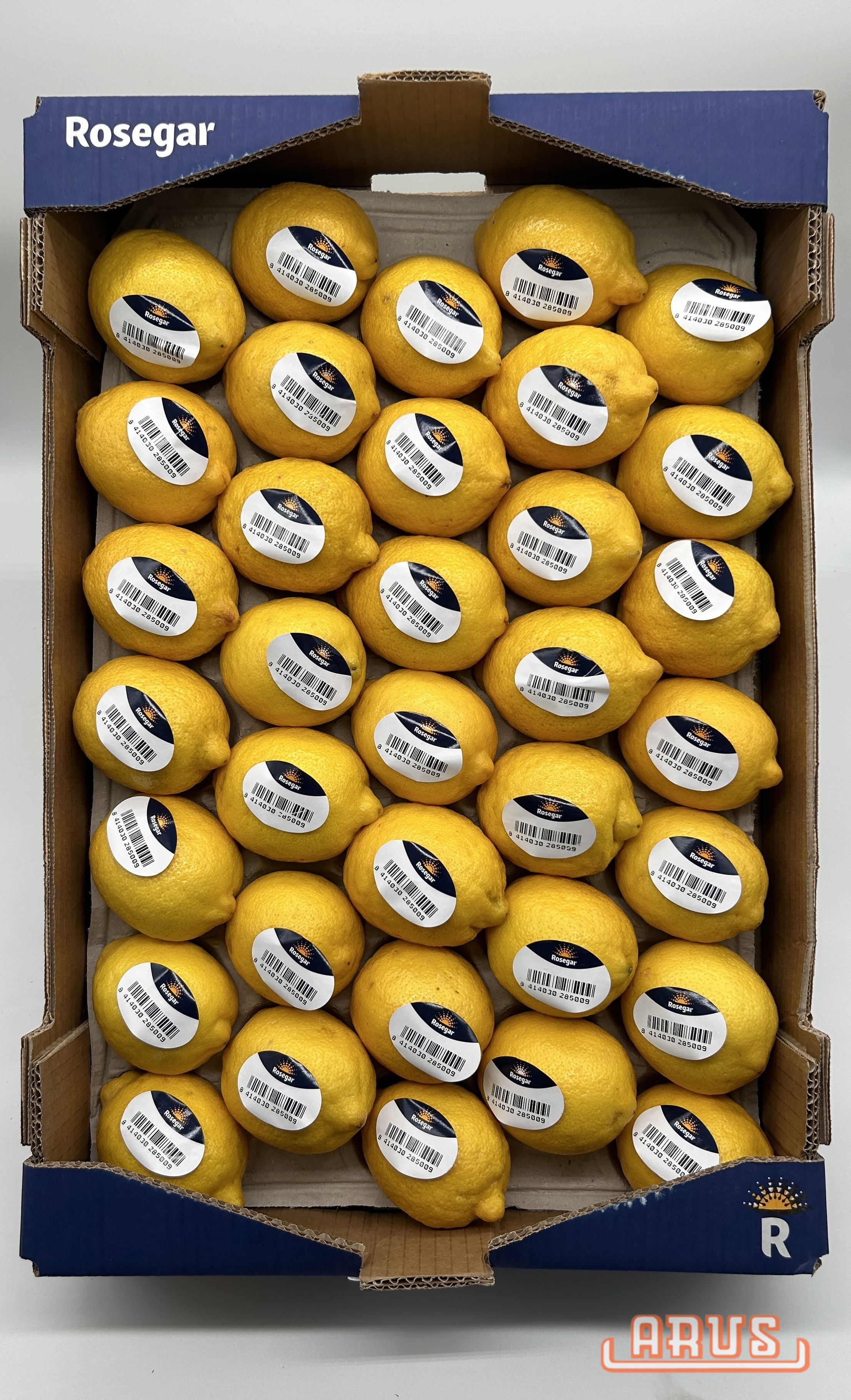 Zitronen "Primofiori" 35er / 6kg - gelegt -