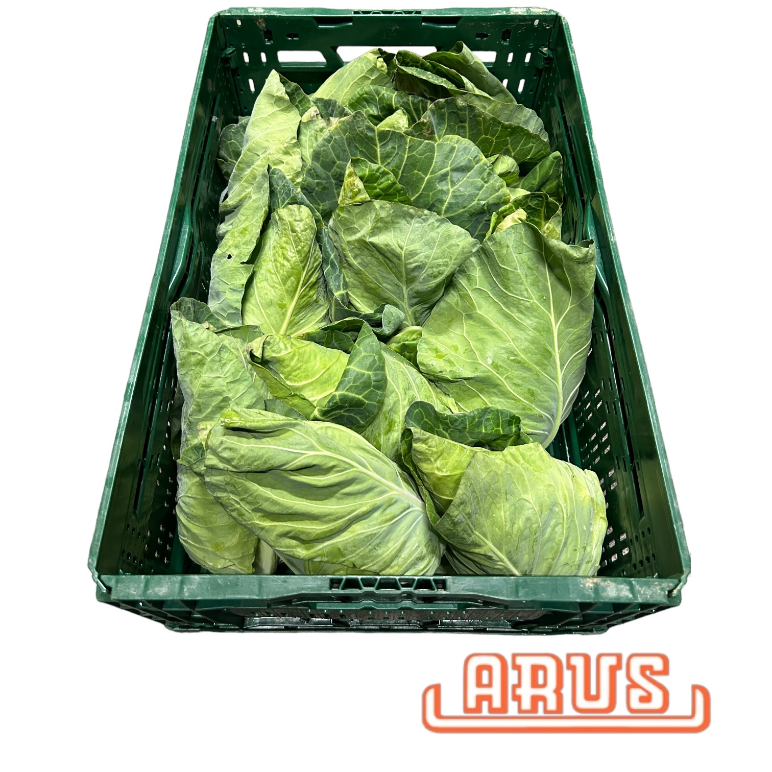 Spitzkohl 10kg - port. -