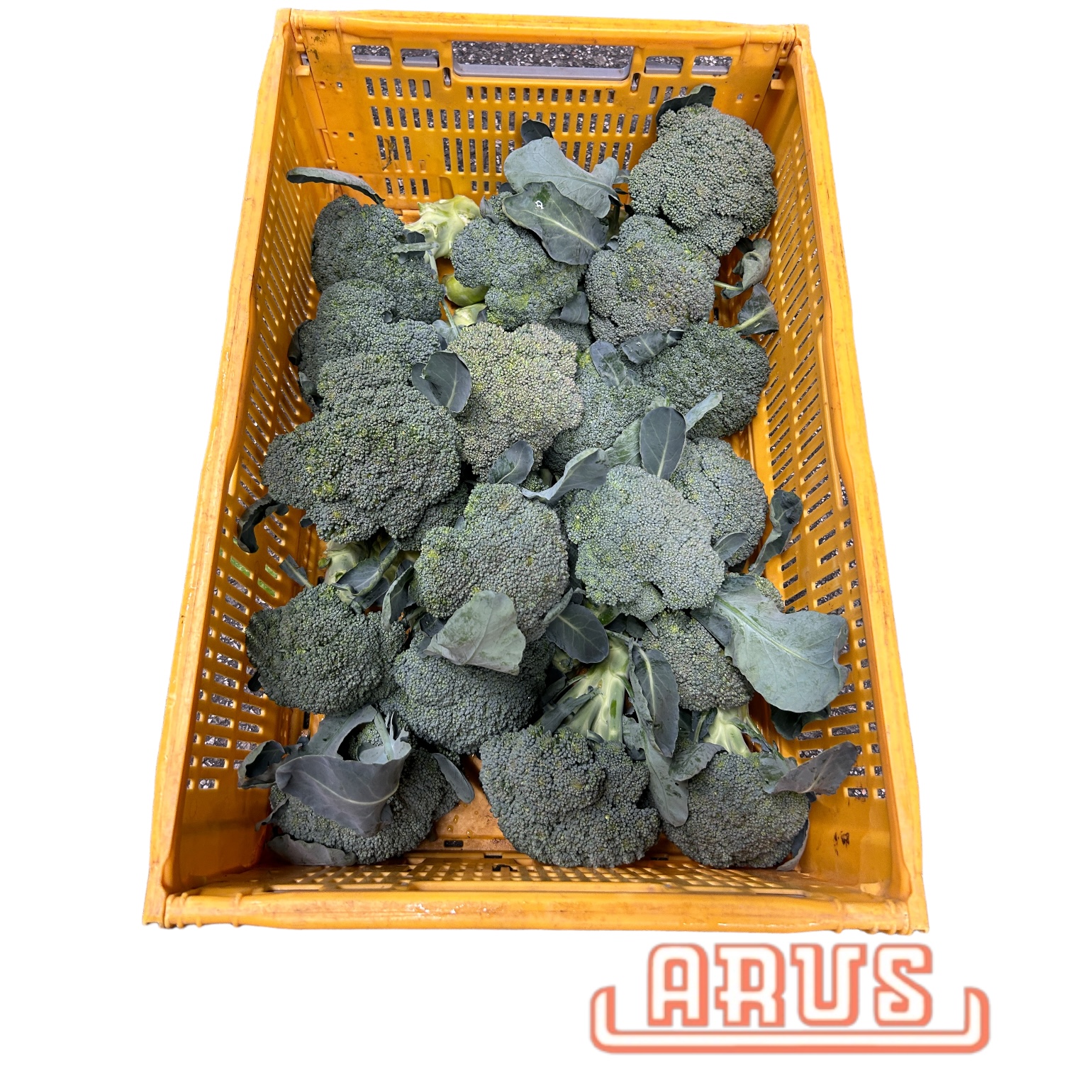Broccoli "lose " 6kg - dtsch. -