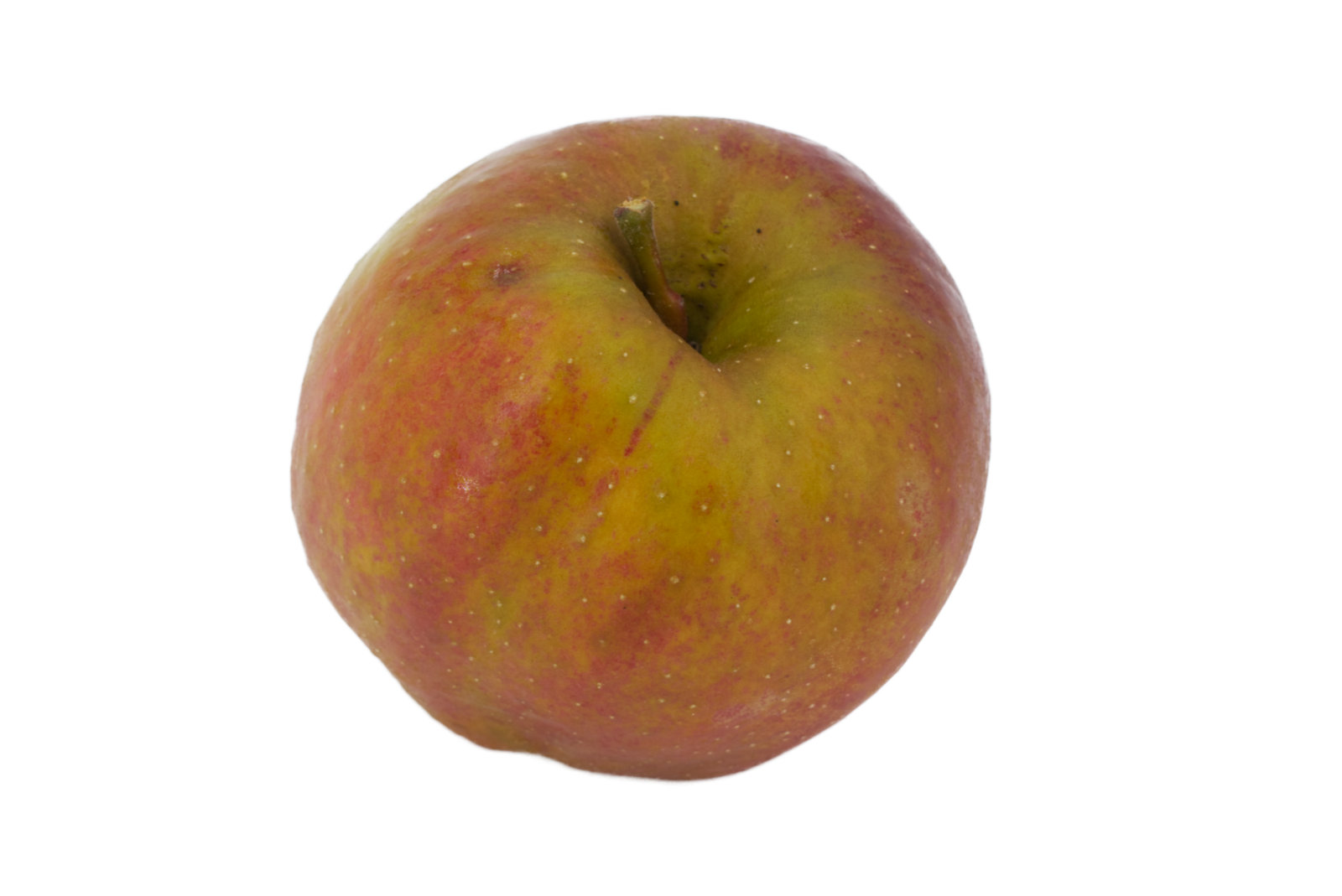 Äpfel Boskoop "gelegt" 7kg
