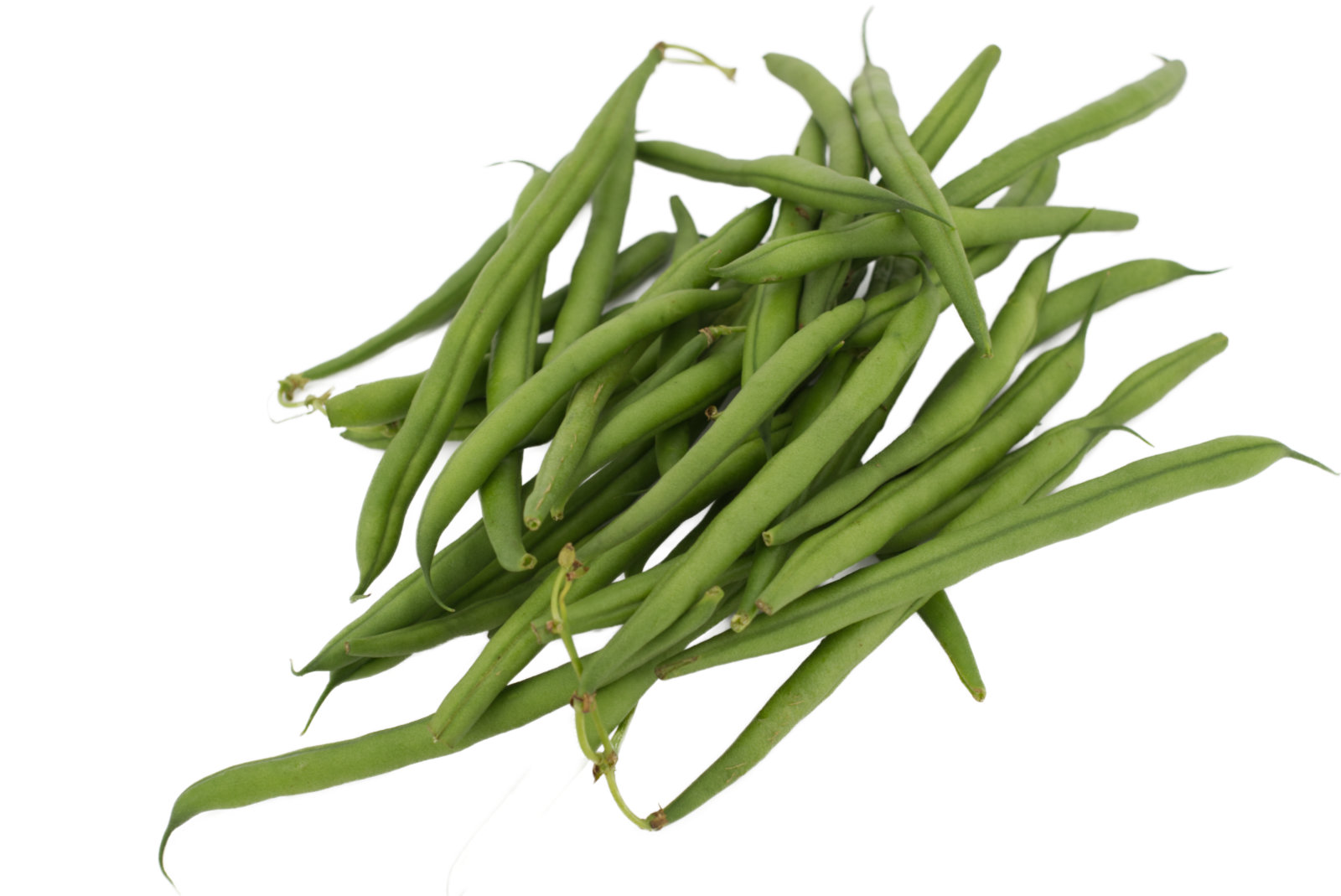 Brechbohnen 5kg  - maroc. -