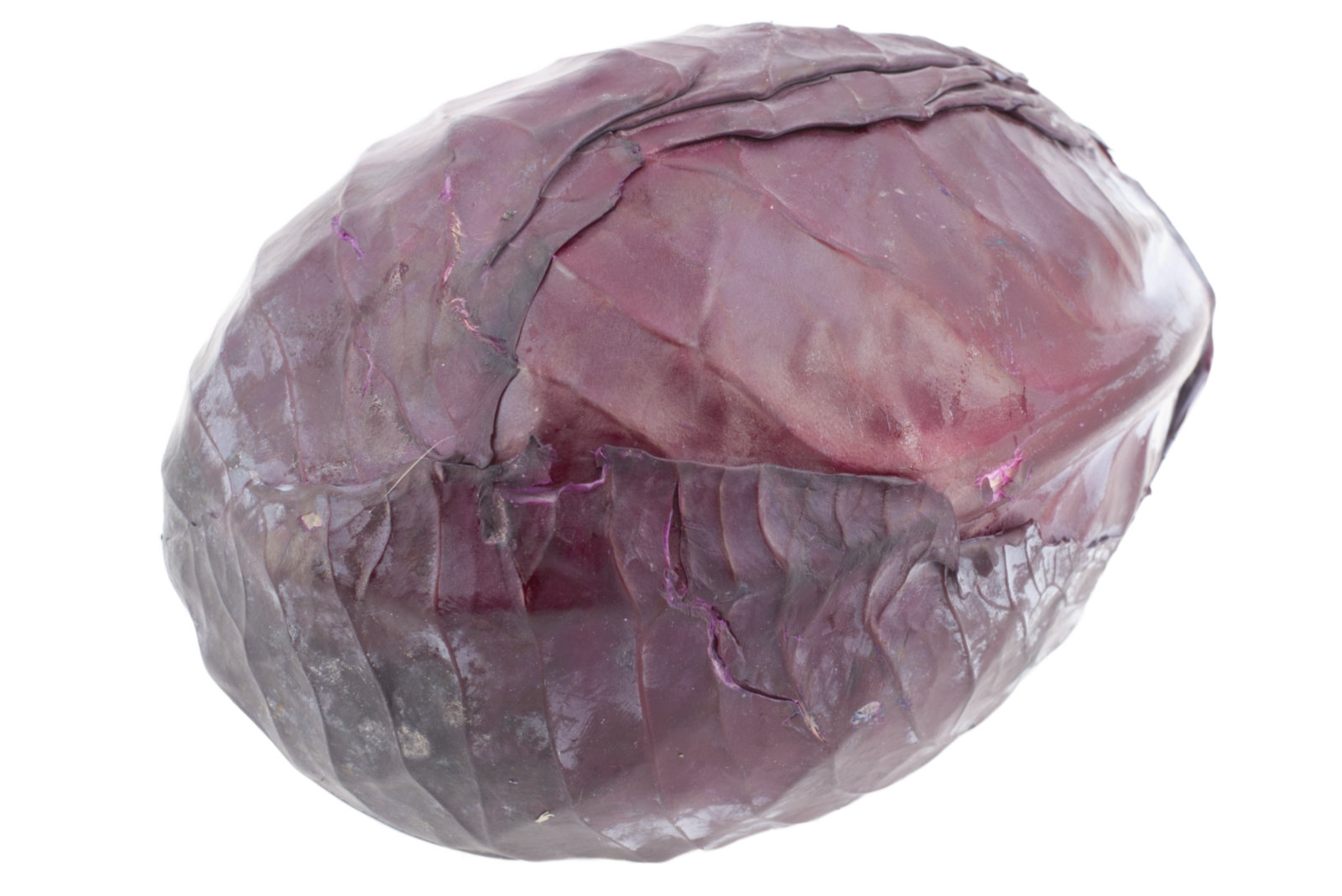 Rotkohl 15kg