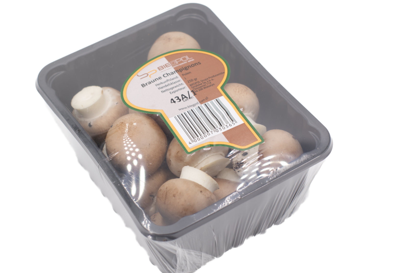 Champignon "rosé, braun/gepackt" 12 x 250g