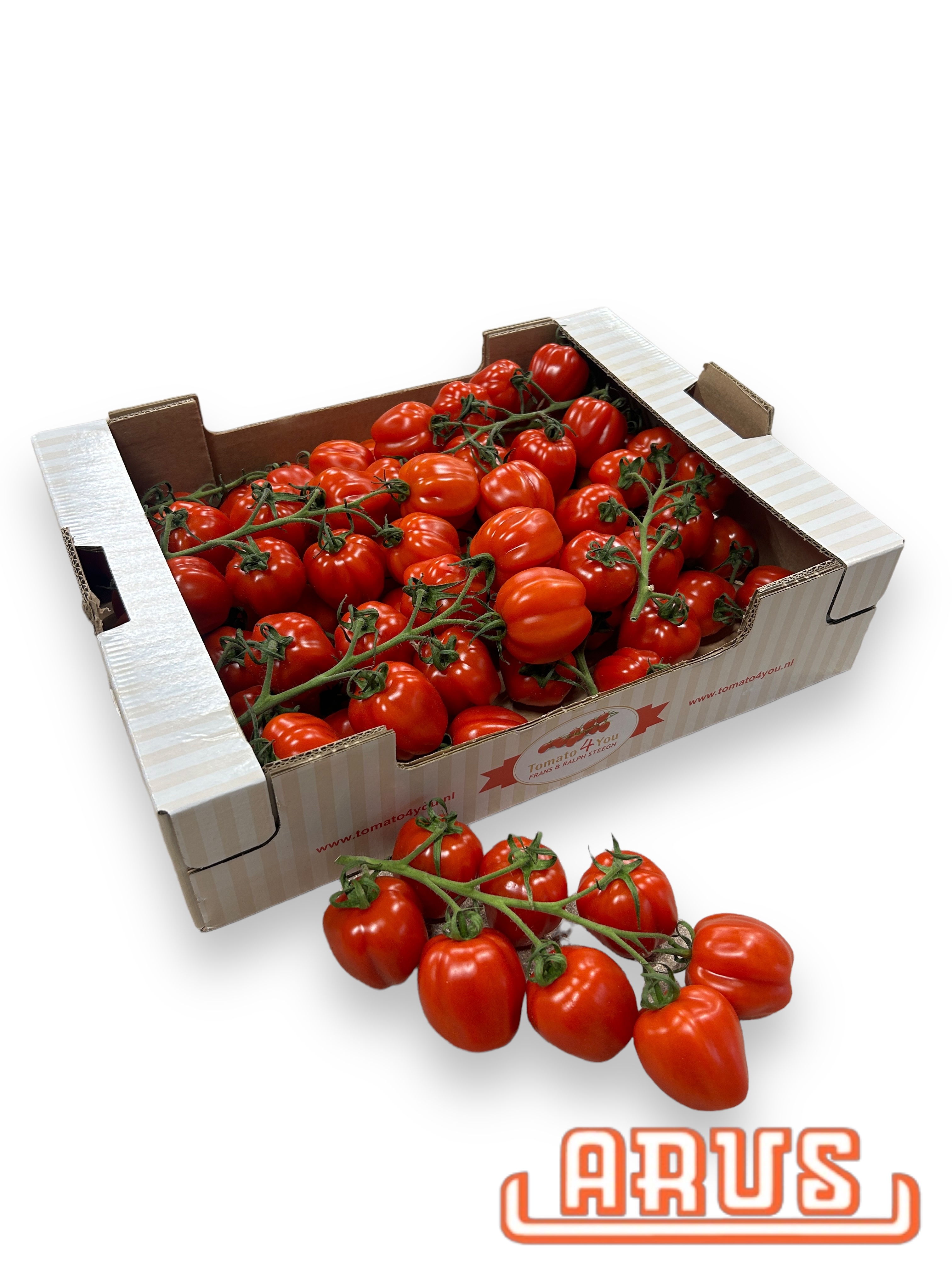Flaschencherry  "Papaletto, Tomato4you" 3kg