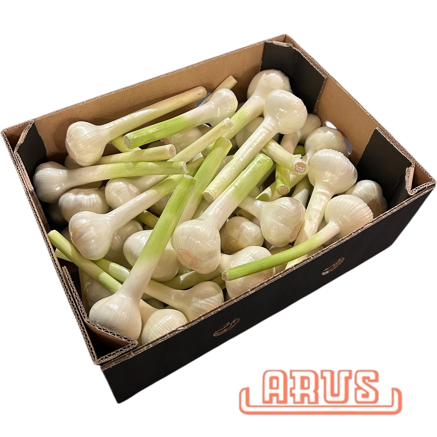 Knoblauch 5kg   "frisch" - südaf. -