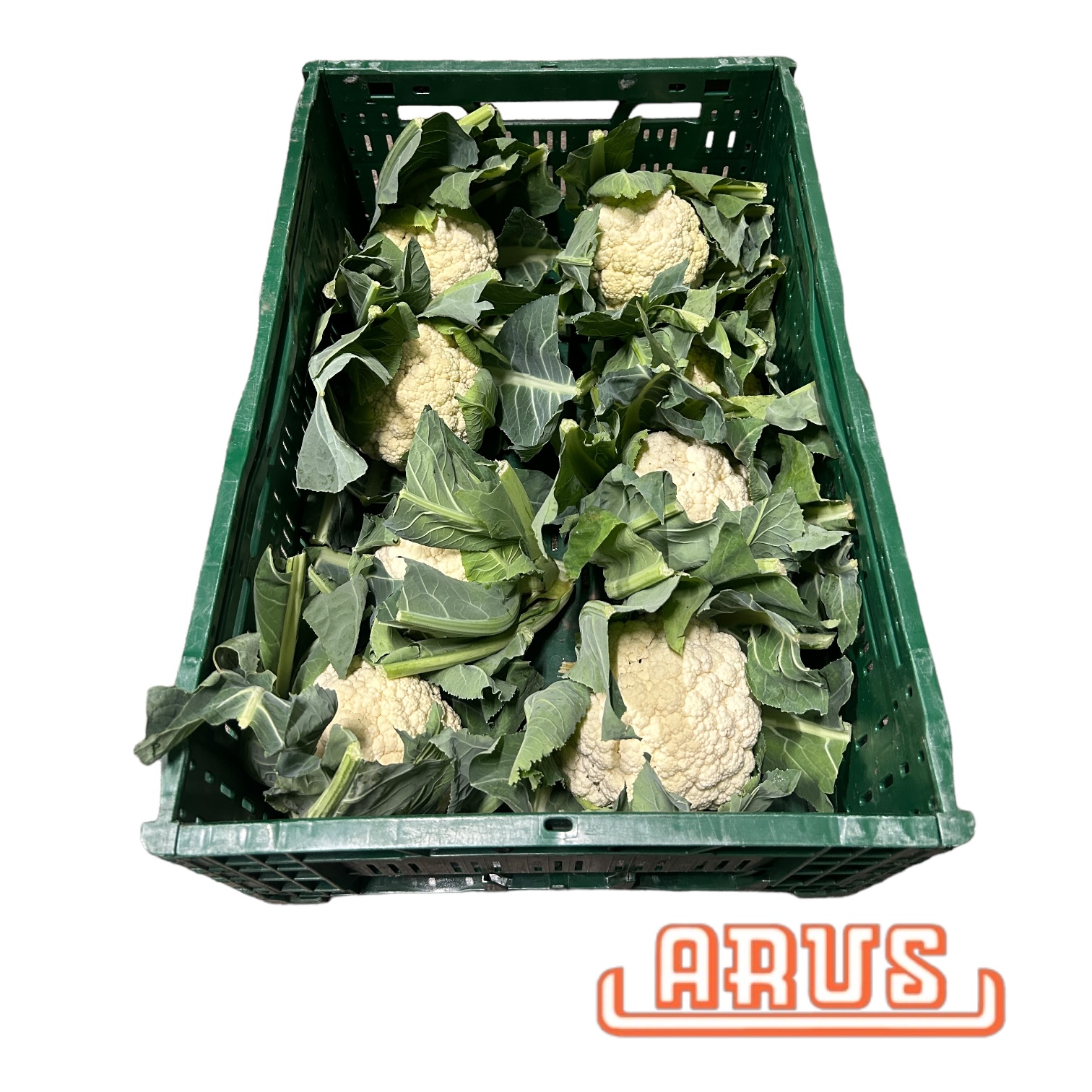 Blumenkohl 8er - belg. -
