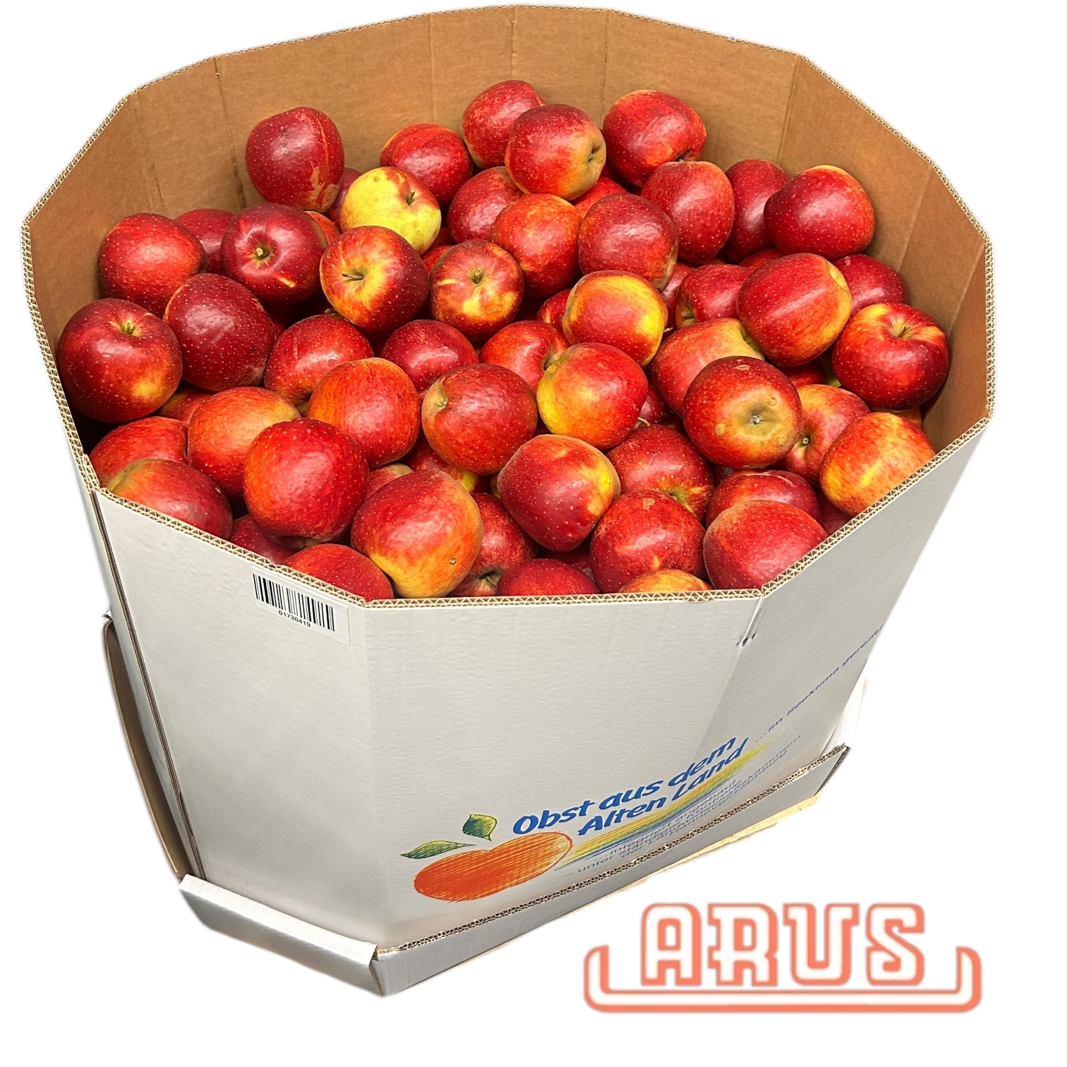 Äpfel Wellant "lose" 120kg -Pappbox-