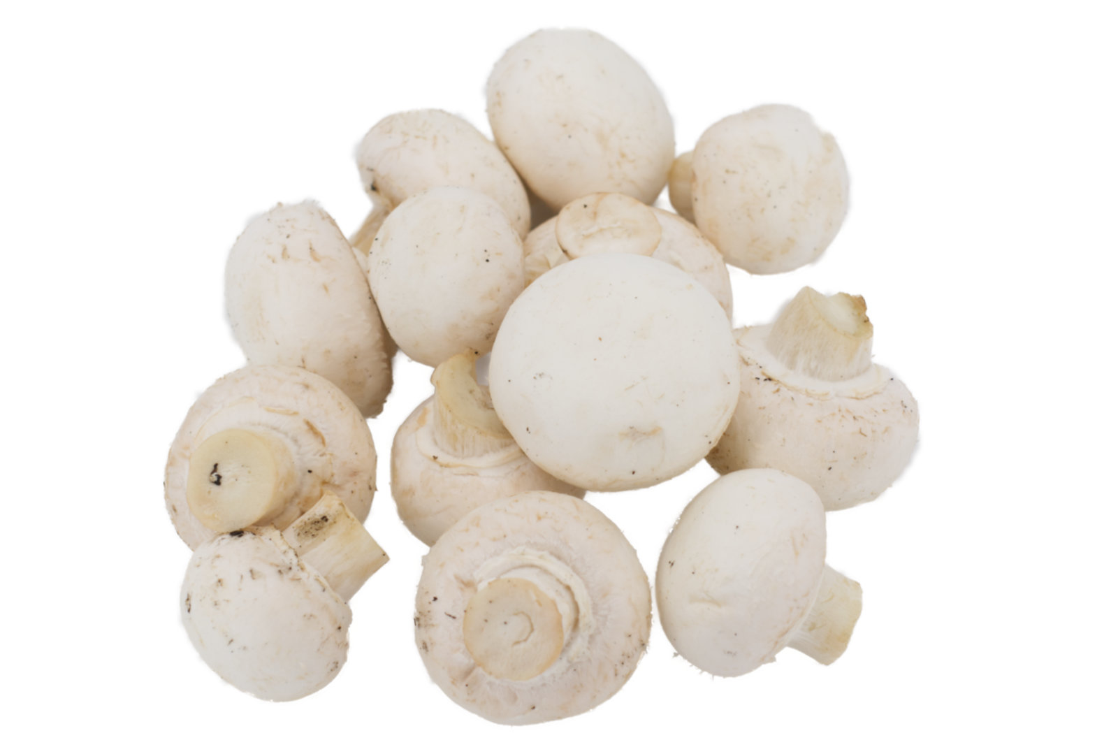 Champignon "weiss" 3kg