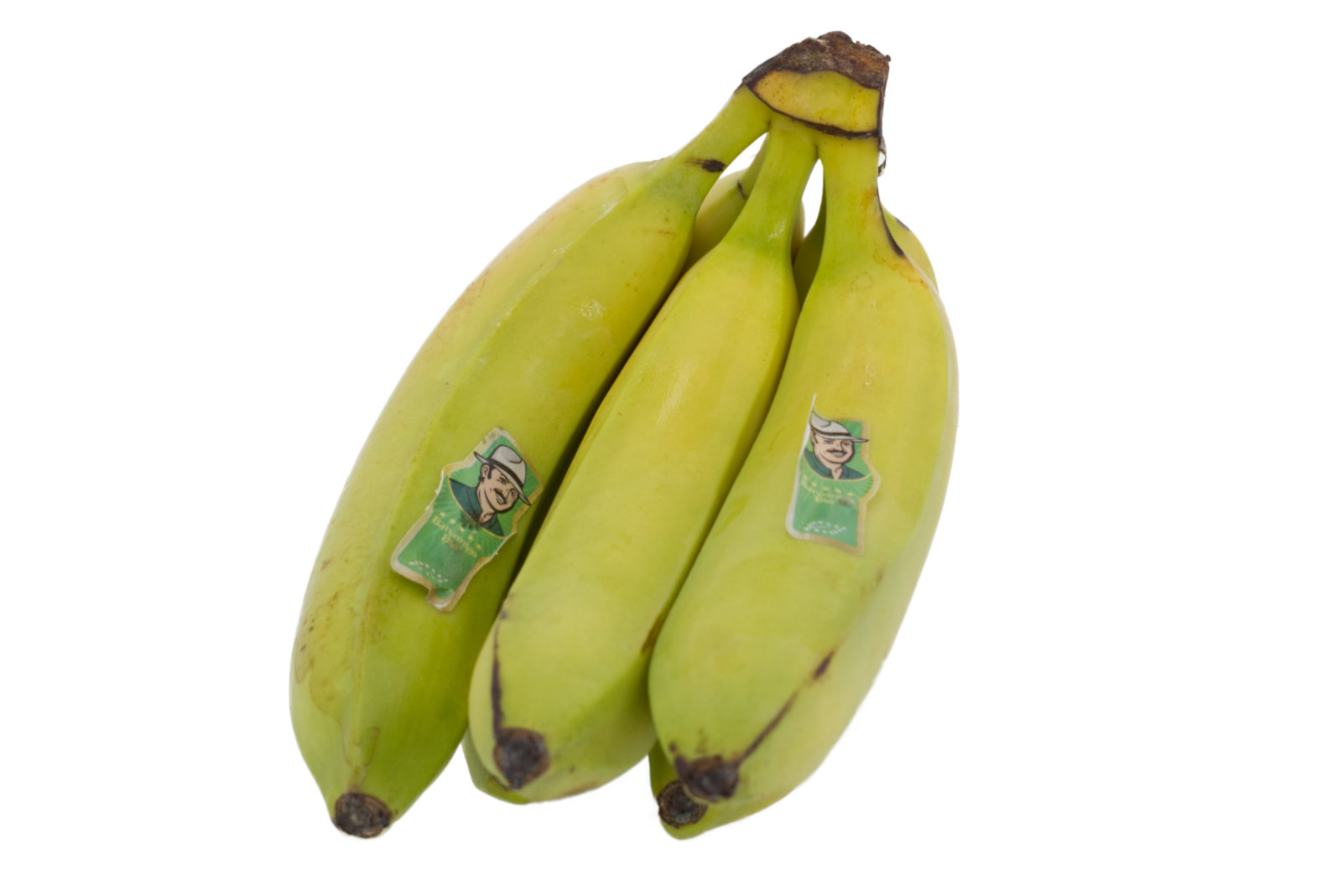 Bio Bananen 18,14kg
