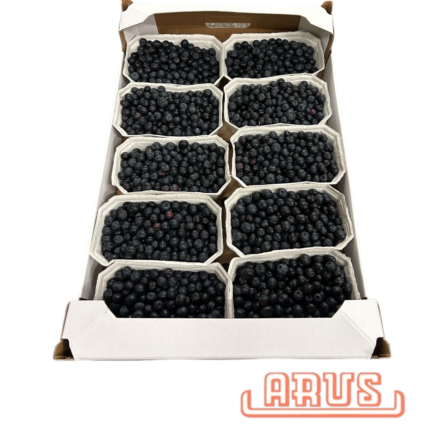 Gartenblaubeeren 10 x 500g -poln.-