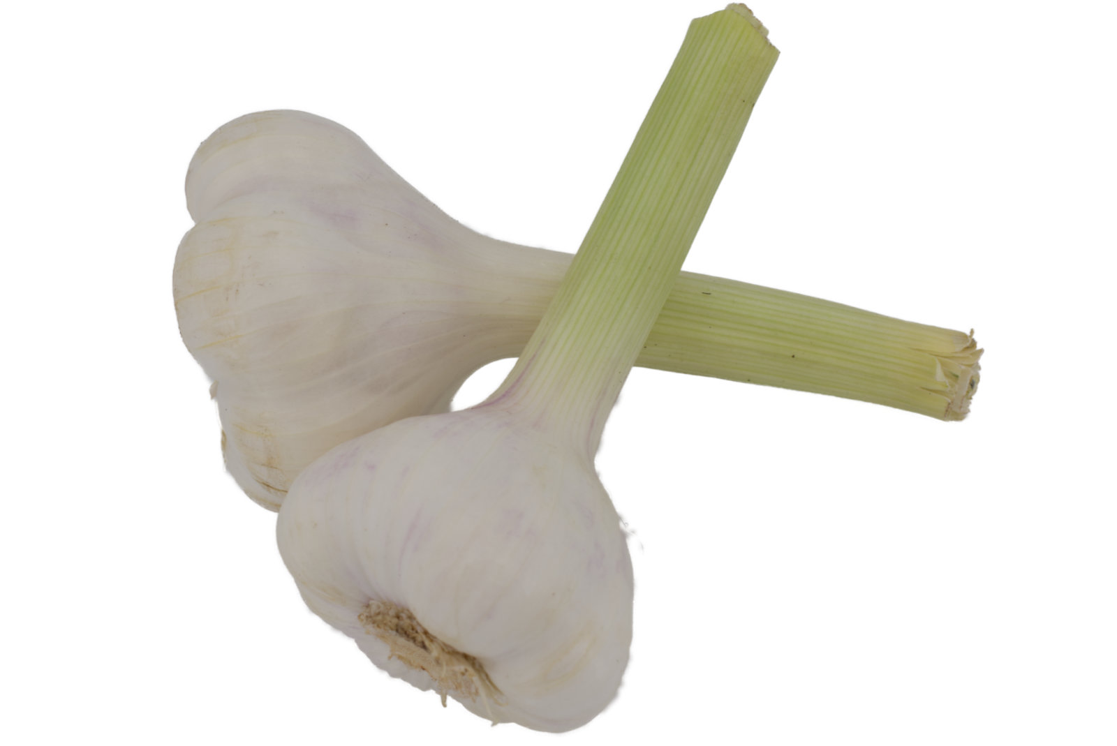 Knoblauch 5kg  "frisch" - ägypt. -